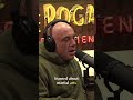 Curiosity  The Secret to Growth and Success #podcast #jre #talk #joeroganexperience #youtubeshorts