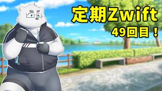 【Zwift】ジムサボりしろくま #49【Vtuber/北見ユウ】
