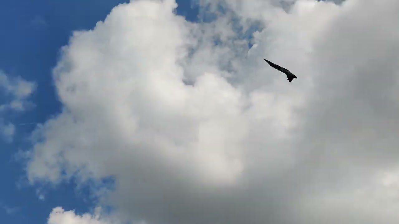 NATO DAYS 2023 OSTRAVA: Saab JAS 39 Gripen - Czech Republic Air Force