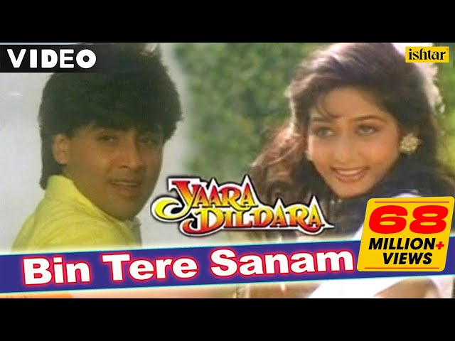 Bin Tere Sanam | Full Video Song | Yaara Dildara | Asif, Ruchika | Bollywood romantic song class=