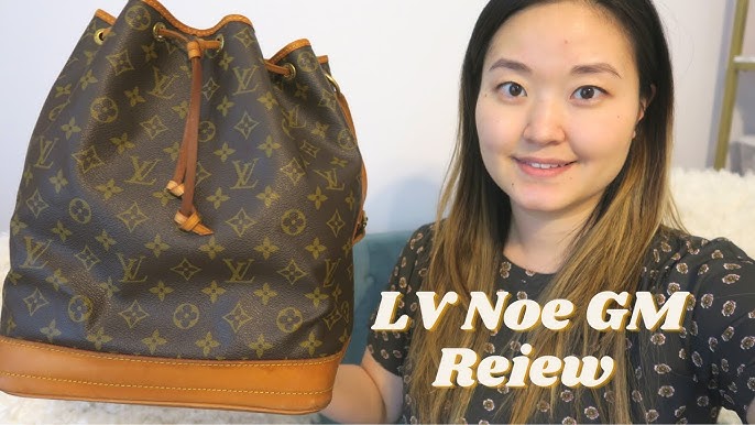 DIG NO MORE! Louis Vuitton Noe GM organizer insert - Gamechanger