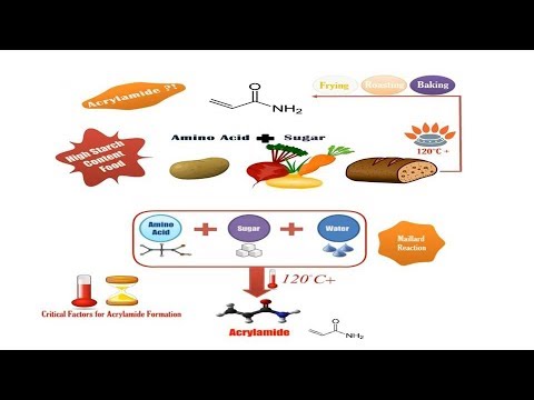 Acrylamide Risk in Food_ Food Safety Tips