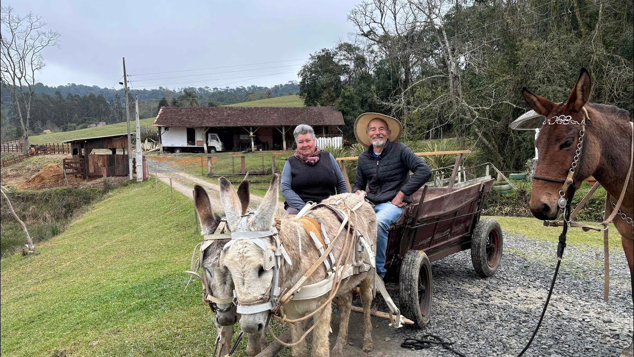 O CASAL QUE NUNCA VIVEU NA CIDADE - OSVALDO E ALCI MONTE CASTELO SC