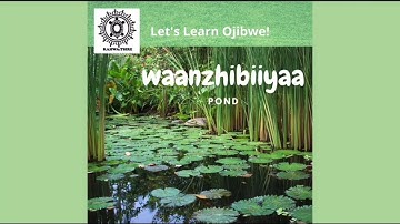 Let’s learn Anishinaabemowin - Water