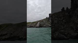 4 May 2026#ireland #nature