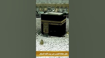 تلاوة من سورة الزمر #القرآن_الكريم #ماهر_المعيقلي #quran #المصحف #قرآن #الحرم_المكي #الحرمين