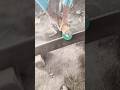 granite molding #viralvideo #tiles #ghar #ghari #home #molding #moldir