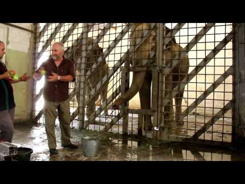 თბილისის ზოოპარკის ბინადარი სპილოები Ice Bucket Challenge-ში ჩაერთნენ!