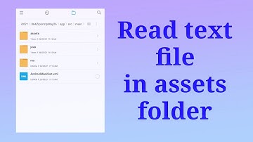 Read text file from assets folder