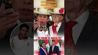 Pedro Castillo podría obtener las gracias presidenciales