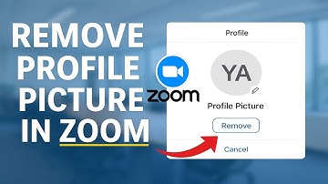 Remove Profile Picture in Zoom | Delete Zoom Profile Photo (2025 Guide)