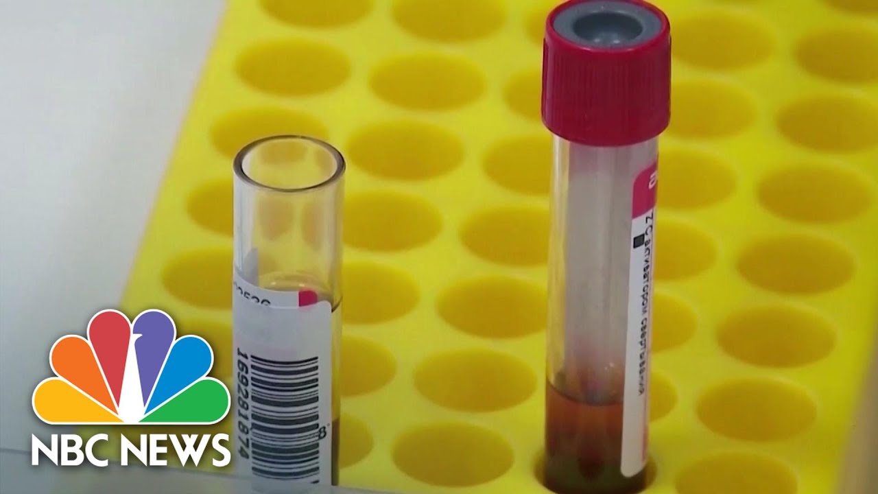 Scientists Split Over Safety Of Coronavirus Human Challenge Trials For Vaccine | NBC News NOW