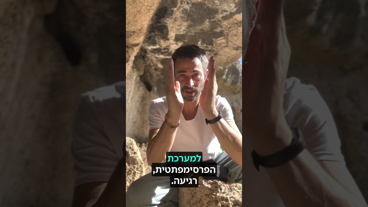 אורח חיים תומך זרימה