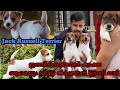 ലുക്കിൽ പാവം വർക്കിൽ കിടു |Jack Russell Terrier Malayalam|Jack Russell Terrier Kennel|Dogs Malayalam