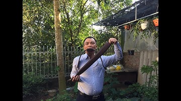 CÁCH NỘM QUẢ NÚC NÁC.