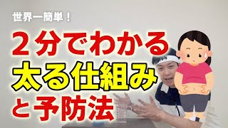 世界一簡単！２分でわかる太る仕組みと予防法【あつしお兄さんと学ぶ】