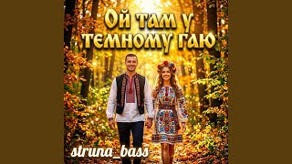 Ой там у темному гаю
