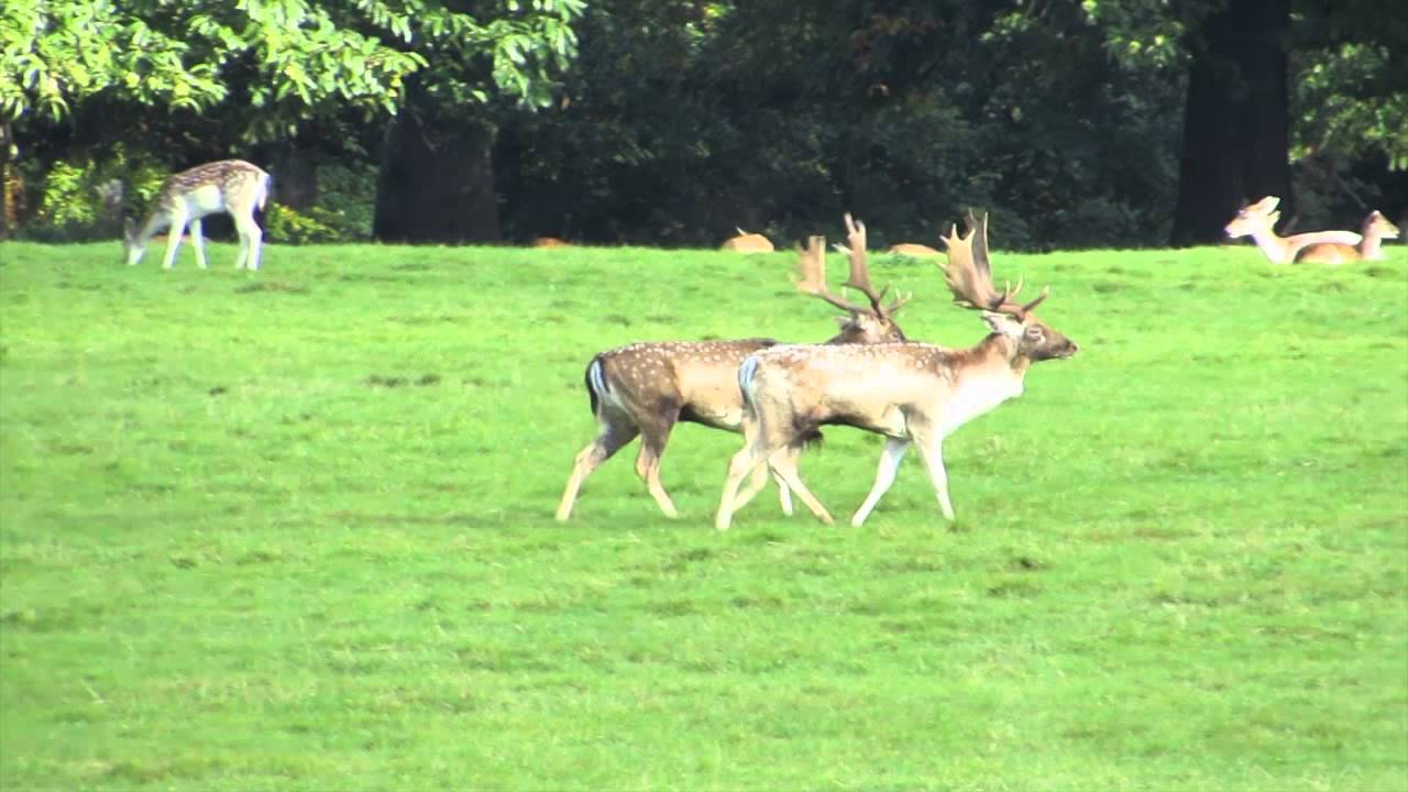 Nature's Great Spectacle 2