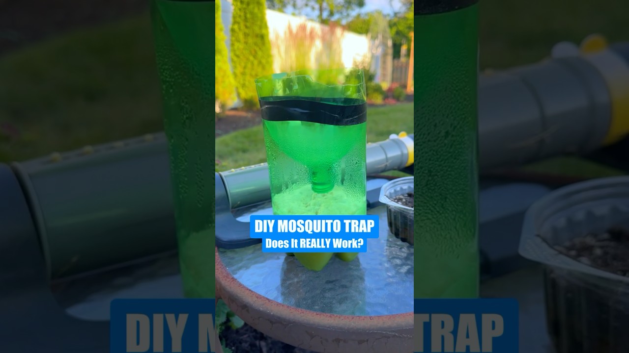Does This DIY Mosquito Trap Really Work? 