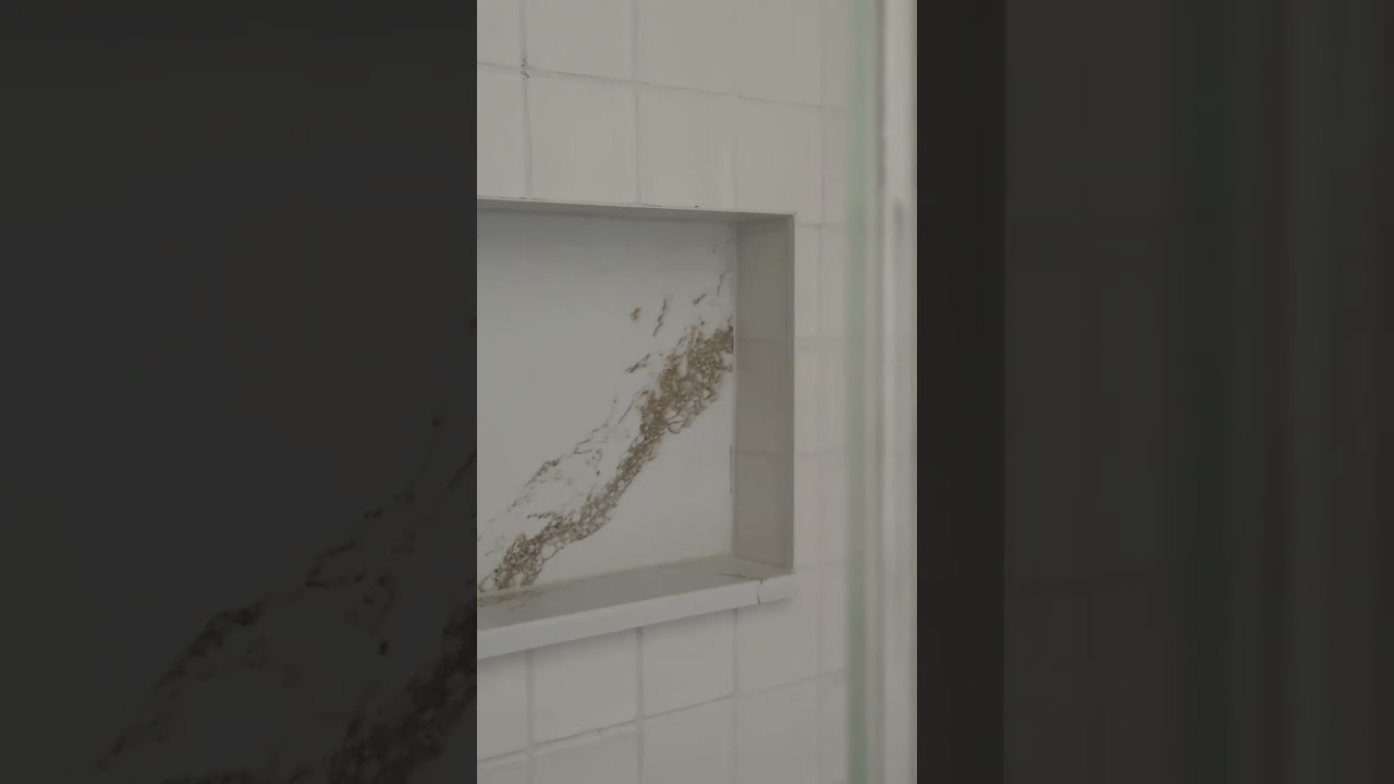 Bullnose and Lambs Tongue Stone Finishes