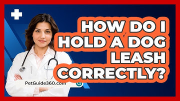 How Do I Hold a Dog Leash Correctly?