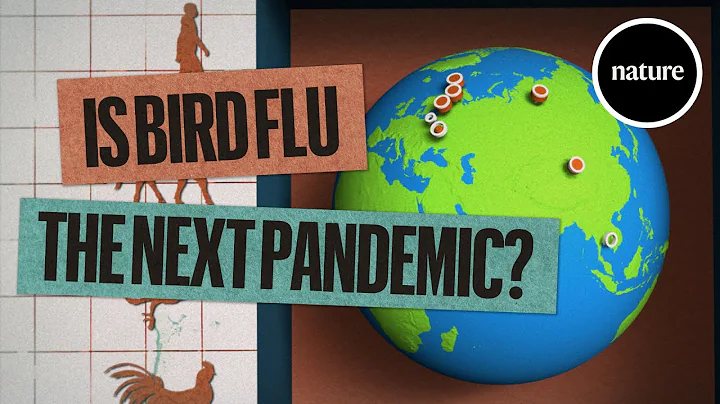 Is bird flu the next pandemic? The science so far.
