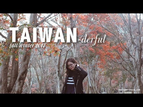 taiwan-2017-travel-vlog-|-10-things-to-do-during-fall-&-winter-in-taiwan-|-the-tummy-train