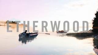 Video thumbnail of "Etherwood - Three Eagles"