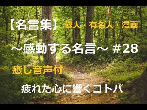 【名言集】感動する名言 #28 偉人/漫画/有名人 癒し音声付 疲れた心に響く言葉