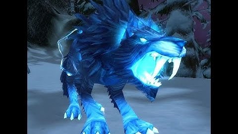 Skoll - WoW Hunter Taming Guide