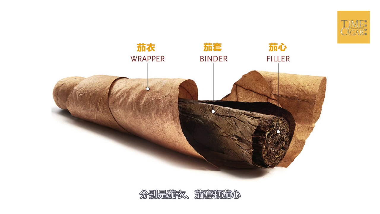【Cigar Class】雪茄结构茄衣、茄套、茄心 Cigar structure wrapper/binder/ filler YouTube
