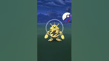 Pokemon Go Catching An Electabuzz!