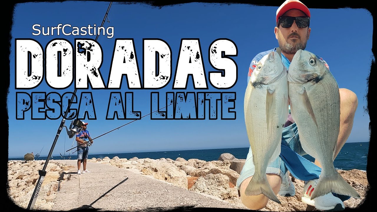 Pesca Surfcasting: Algunos consejos y trucos para ser el mejor - Pleamar