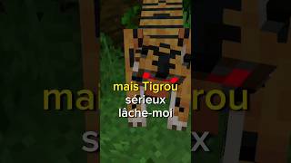 Tigrou Le Tigre Fou Minecraft Fr