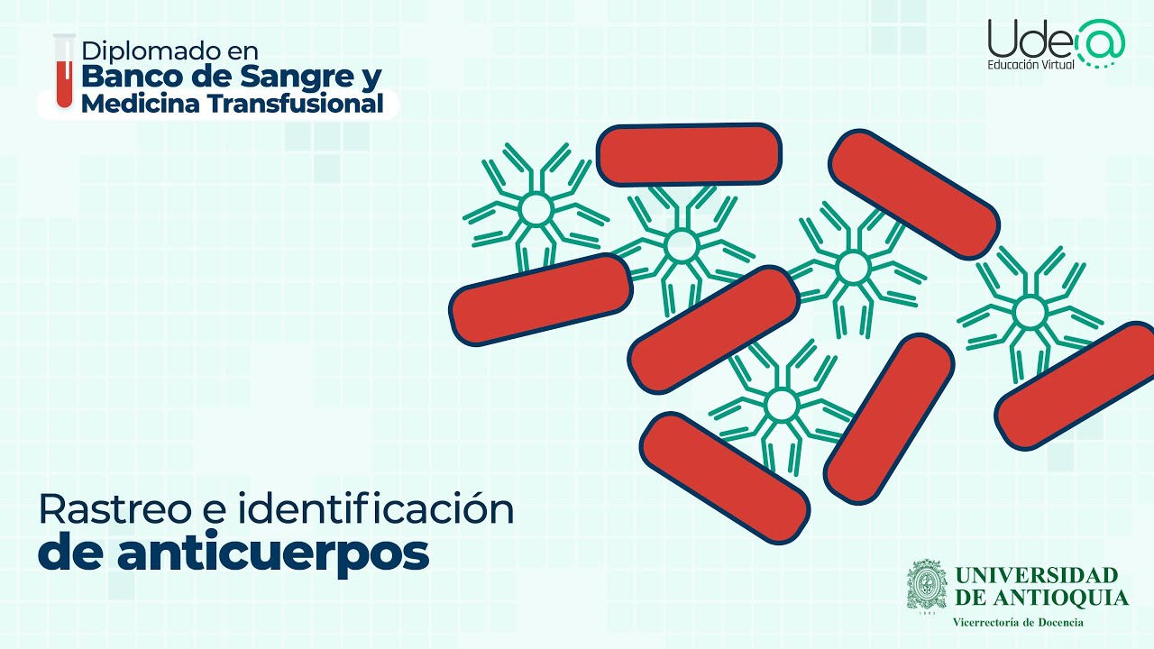 Rastreo e identificación de anticuerpos - YouTube