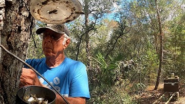 Running The Swarm Bucket Trap Line
