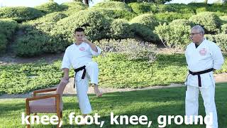 Perfect your kicks with kicking exercises. OCIGK training videos.