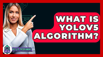 What Is YOLOv5 Algorithm? - Next LVL Programming