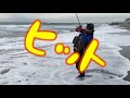 遠州サーフでヒラメ狙っていたらまさかの怪魚出現!!