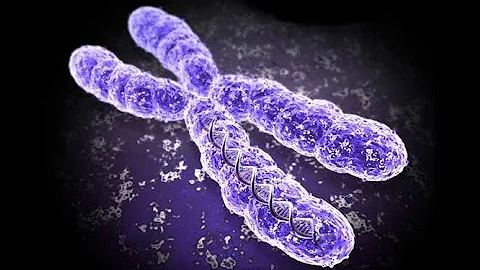 ¿Cuál es el cromosoma Qué aporta el padre?