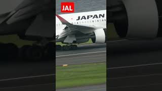 🌈巨大な純白のJAL機が華麗に舞い降り,スカイマークポケモン機が急上昇🐝#Shorts🌴