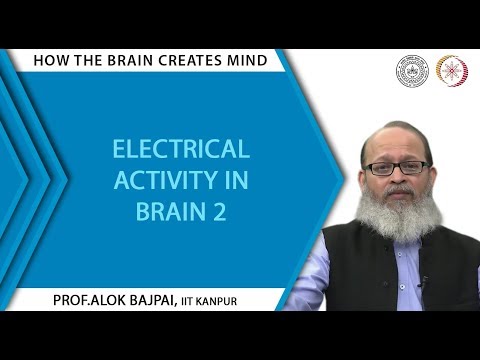 Electrical Activity In Brain - 2