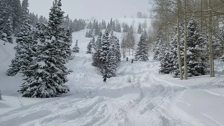 Utah Skiing