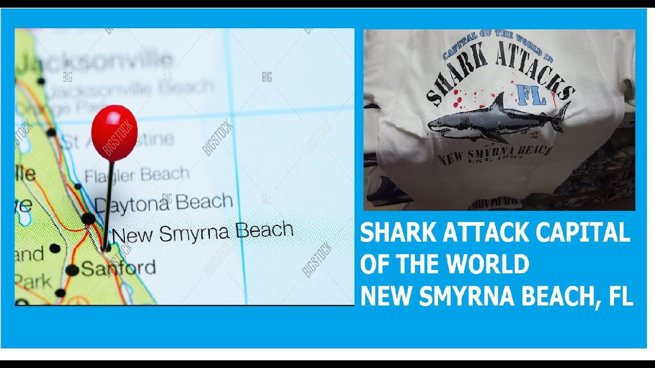 Swimming In New Smyrna Beach Florida The Shark Attack Capital Of The World Familia Clarke Youtube