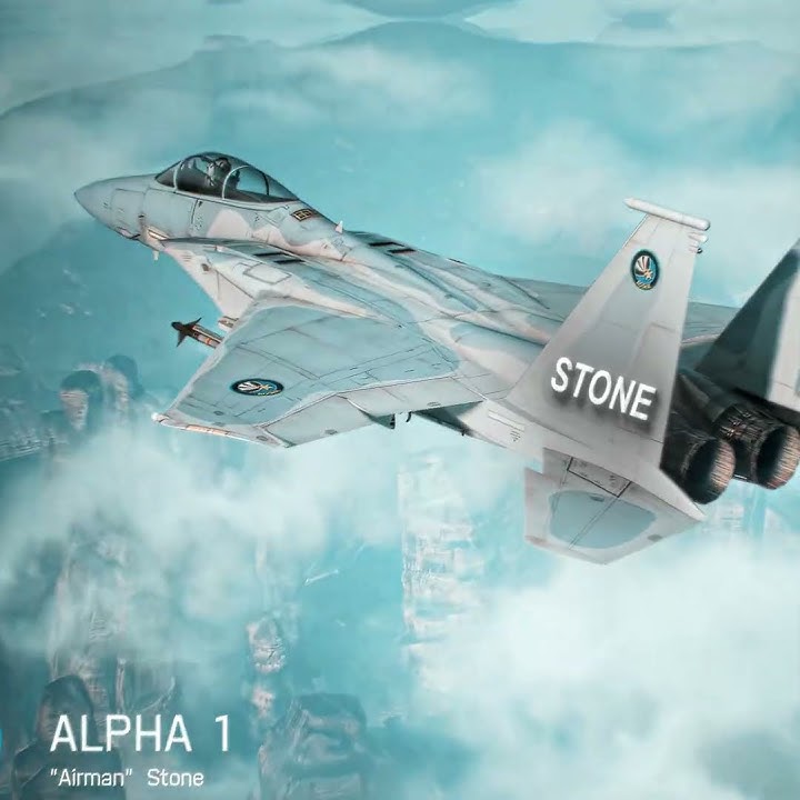 Average Navy pilot💀 || #shorts #acecombat #stonexd