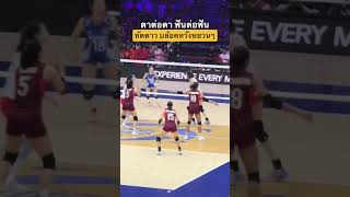 ทัดดาว บล้อคหวังหยวนหยวน เดี่ยวๆ #volleyball #ทัดดาวนึกแจ้ง