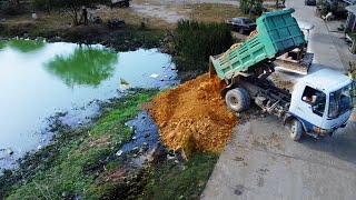 New Project!!! Dozer operator D20 & Truck 5T Soil compaction on Flooded land!!!