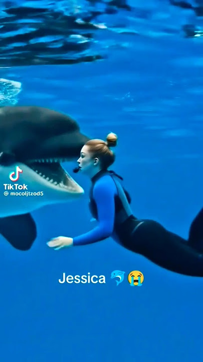 Jessica 😱 #jassica #shorts #shortsfeed #bignews #dolphin
