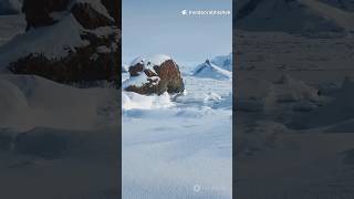 How Did Humans Survive the Ice Age? ❄️ | Evolution’s Biggest Survival Story