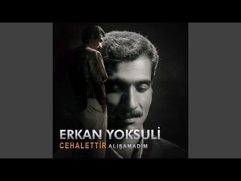 Kızıl Gül